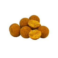 Avid Carp Appâts Carpe * Bouillette Creamy Scopex Boilies