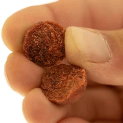 Cap River Appâts Carpe * Bouillette Indian Spice