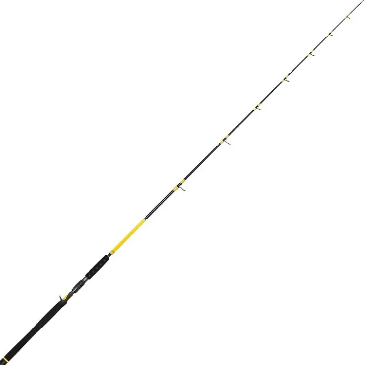 Black Cat Cannes Silure * Canne Casting Freestyle Pro Casting 220