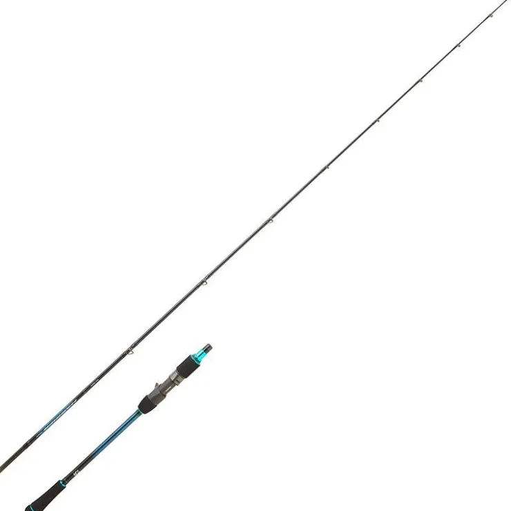 Daiwa Cannes Mer * Canne Casting Harrier Jigging