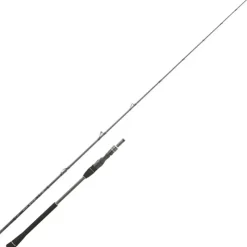 Daiwa Cannes Mer * Canne Casting Legalis Jigging