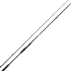 Daiwa Cannes Carnassier * Canne Casting Prorex E 2022