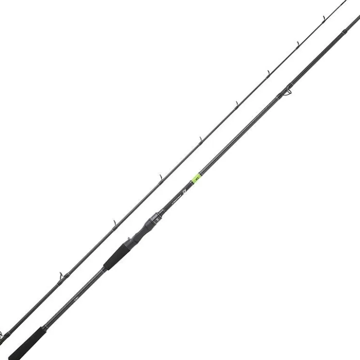 Daiwa Cannes Carnassier * Canne Casting Prorex E 2022