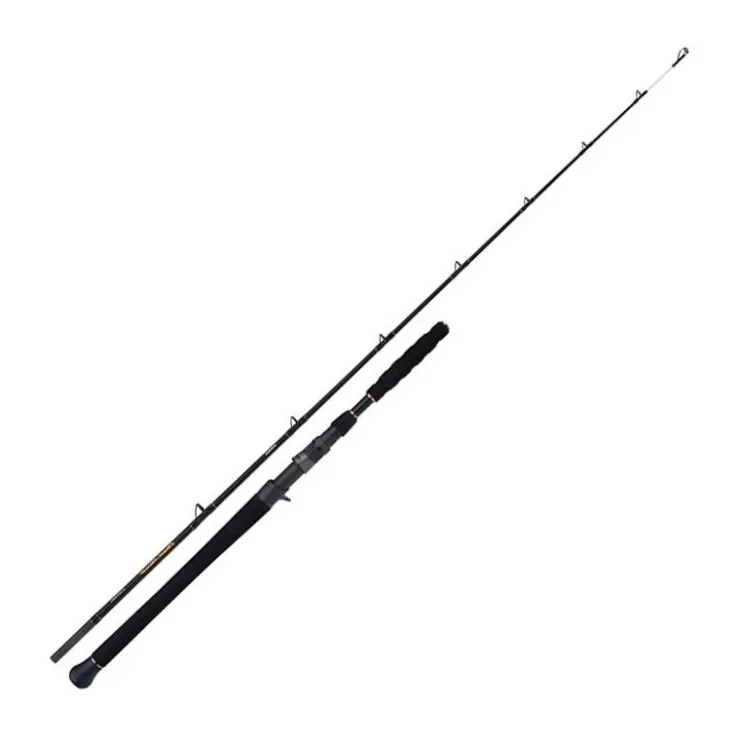 Shimano Cannes Silure * Canne Casting Verticale Beastmaster Ax Catfish Vertica