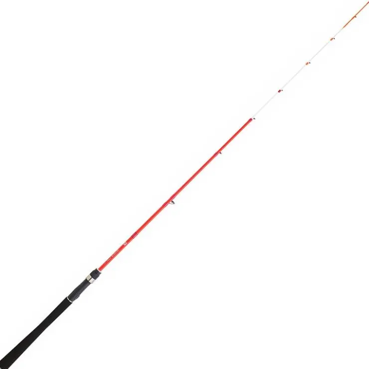 Daiwa Cannes Mer * Canne Sensor Palangrotte