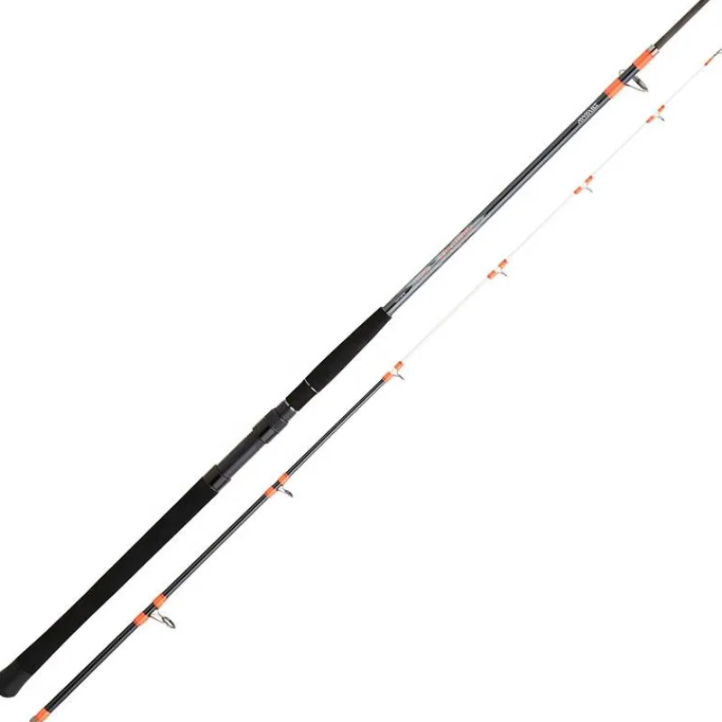 Daiwa Cannes Mer^Canne Spinning Megaforce Boat
