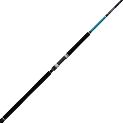 Smith Cannes Mer * Canne Spinning Dragonbait Seabass Shore Sj100