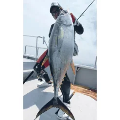 Tailwalk Cannes Mer * Canne Spinning Kuroshio Oc 80H