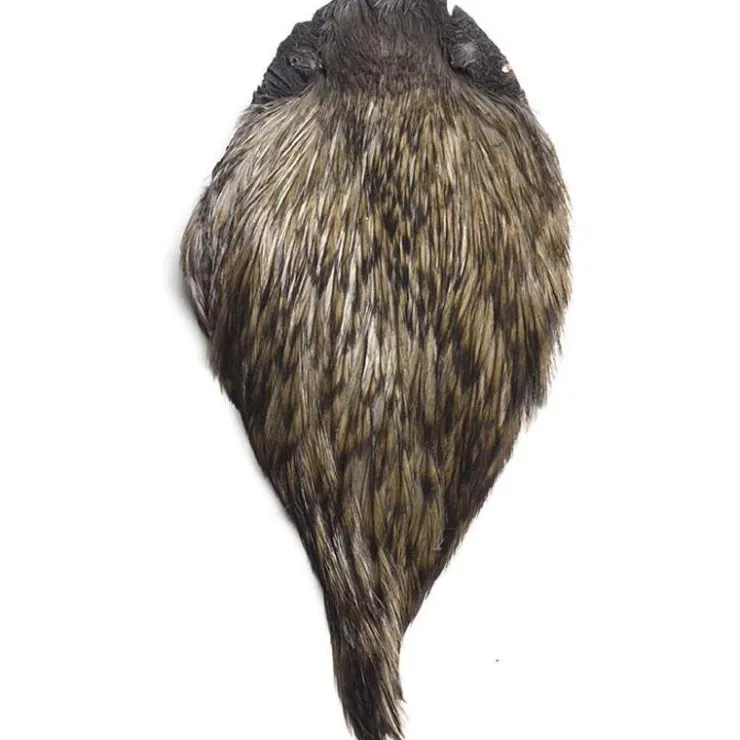 Devaux Fly Tying * Cou De Coq Dvx Top Grade Teint