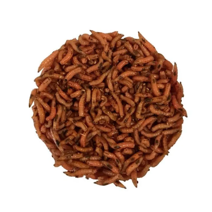Pecheur.com Appâts - Amorces * Gozzers Bronze