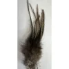 Vesuna Fly Tying * Lancettes Pardo Grade 1