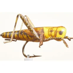JMC Mouches * Mouche Sauterelle 24