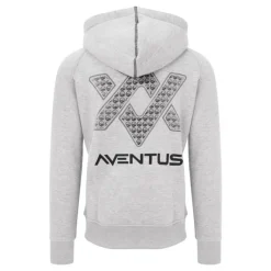Guru Sweats & Polaires * Sweat Homme Aventus Hoodie - Gris